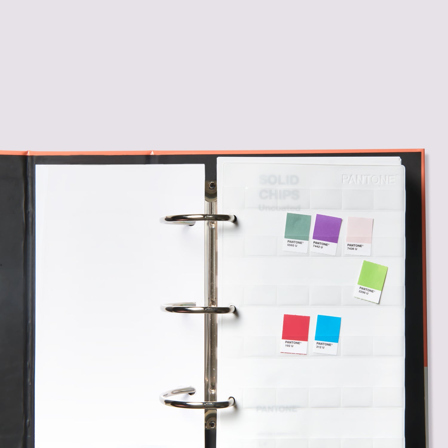 New Edition Solid Chips Set - Coated/Uncoated