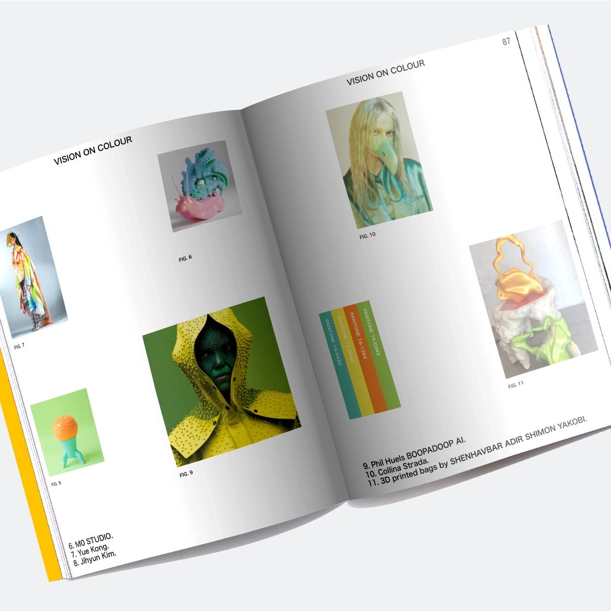 VIEWPOINT Color Issue 13 - Transformation