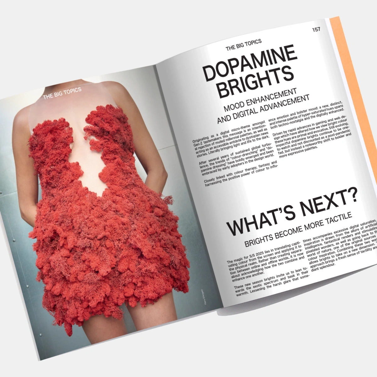 VIEWPOINT Colour Issue 14 - Human Nature