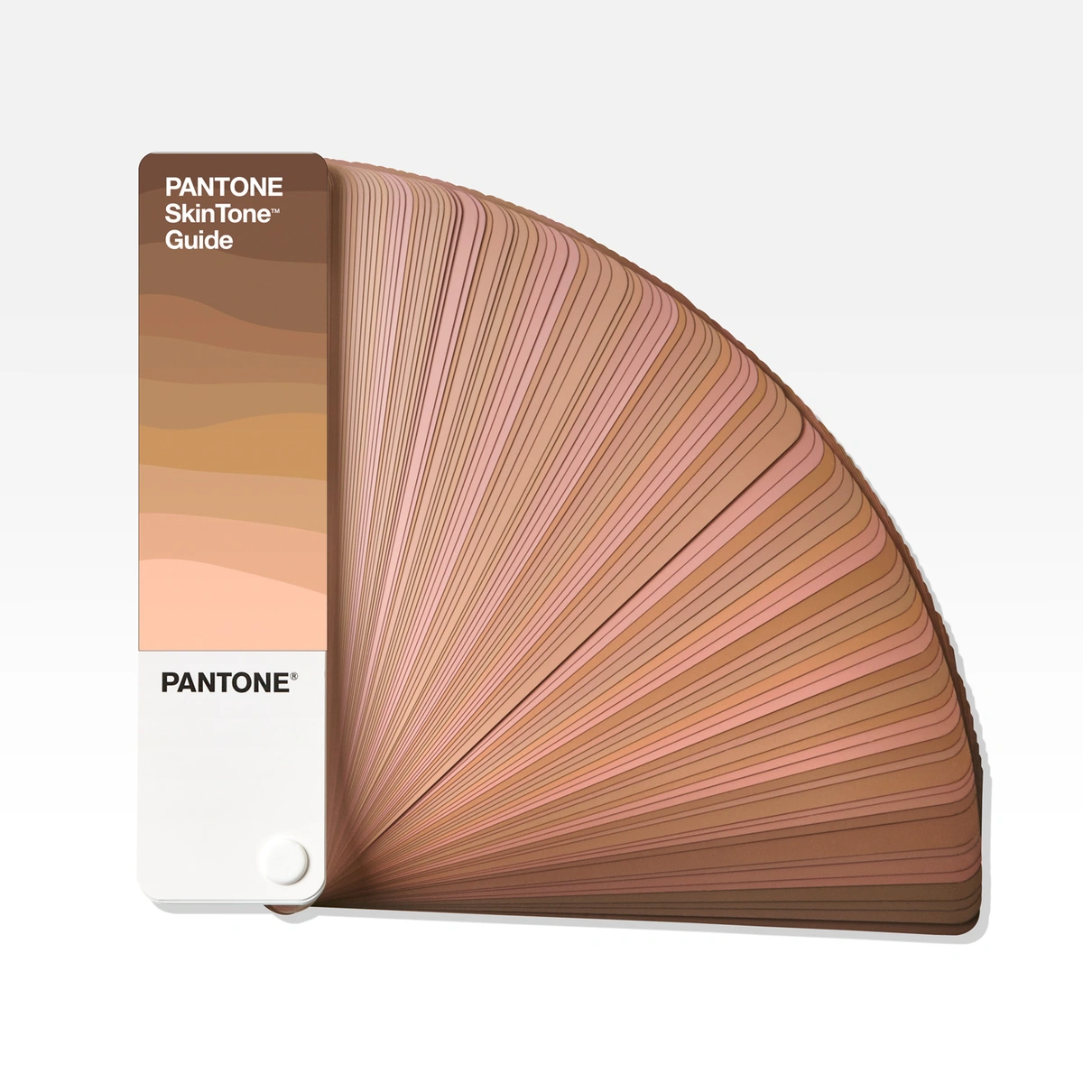 Pantone Skin Tone Guide - Layered (NE) (Pre-Order)