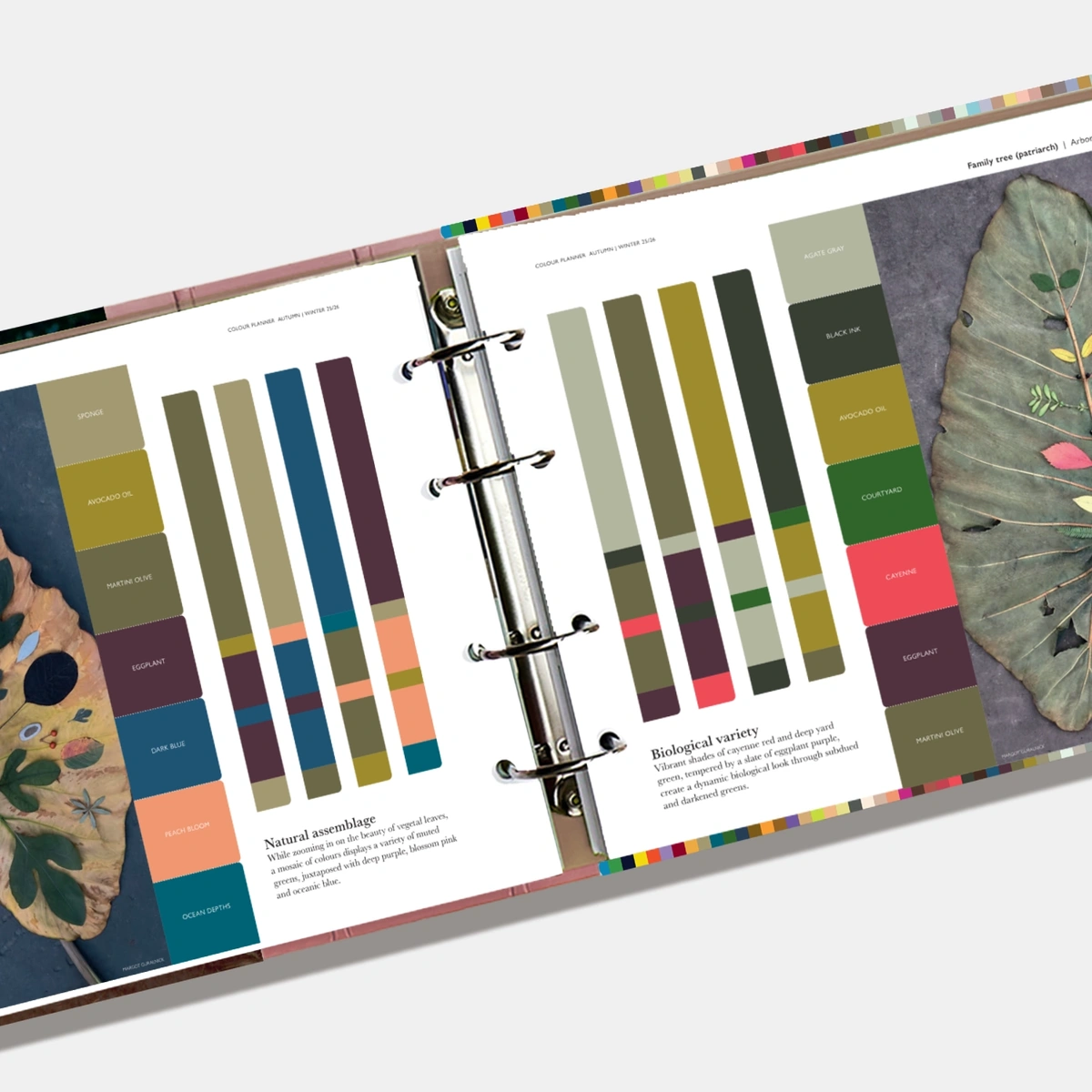 PANTONEVIEW Colour Planner Autumn/Winter 25/26